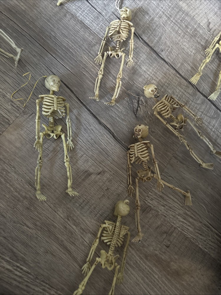 1/6th Scale Skeleton Model Halloween Decoration