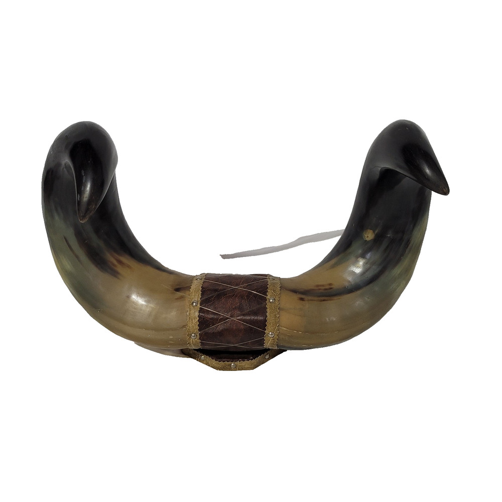 Buffalo Horn Wall Mount Decor 19x13