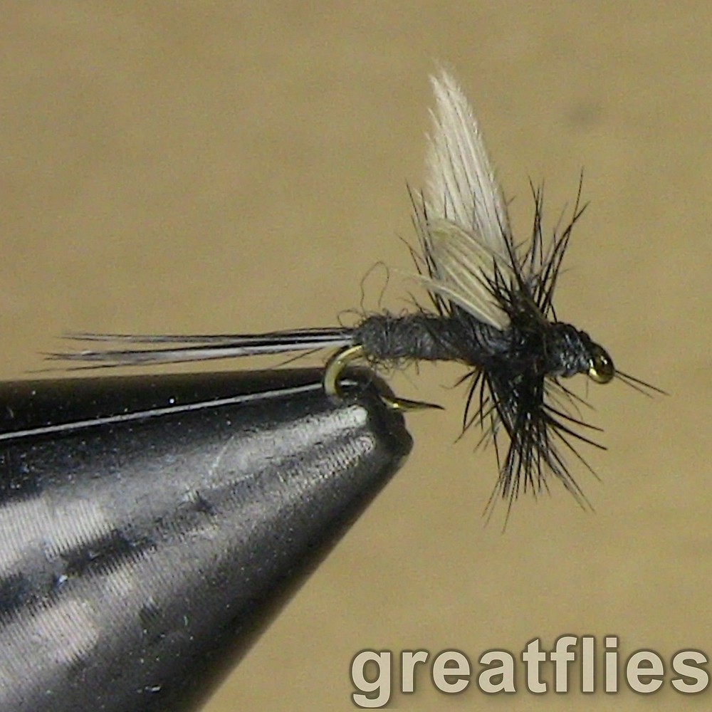 1 dozen (12) - Black Gnat