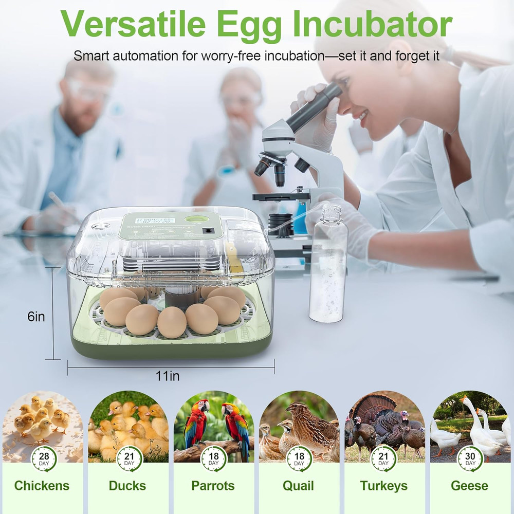Incubators for Hatching Eggs, 12 Eggs Capacity, Egg Incubator with Automatic Egg