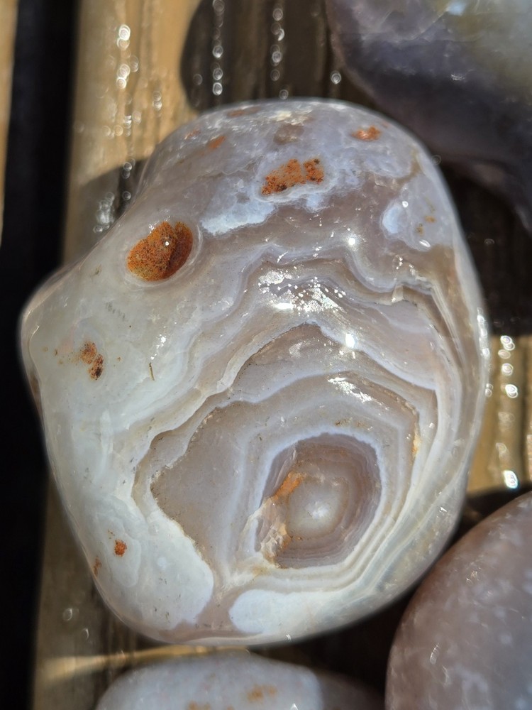 Botswana Agate Selects - SUPERNOVA - Rough, Natural, Not Polished A+ Grade