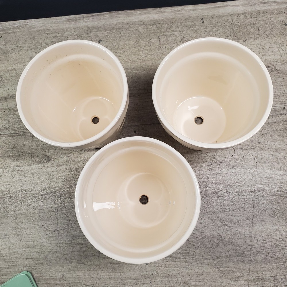 3 Rae Dunn planters with insect design