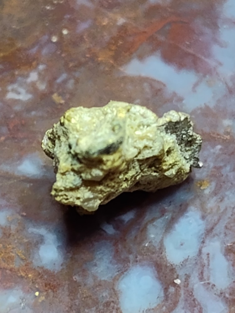 california gold nugget