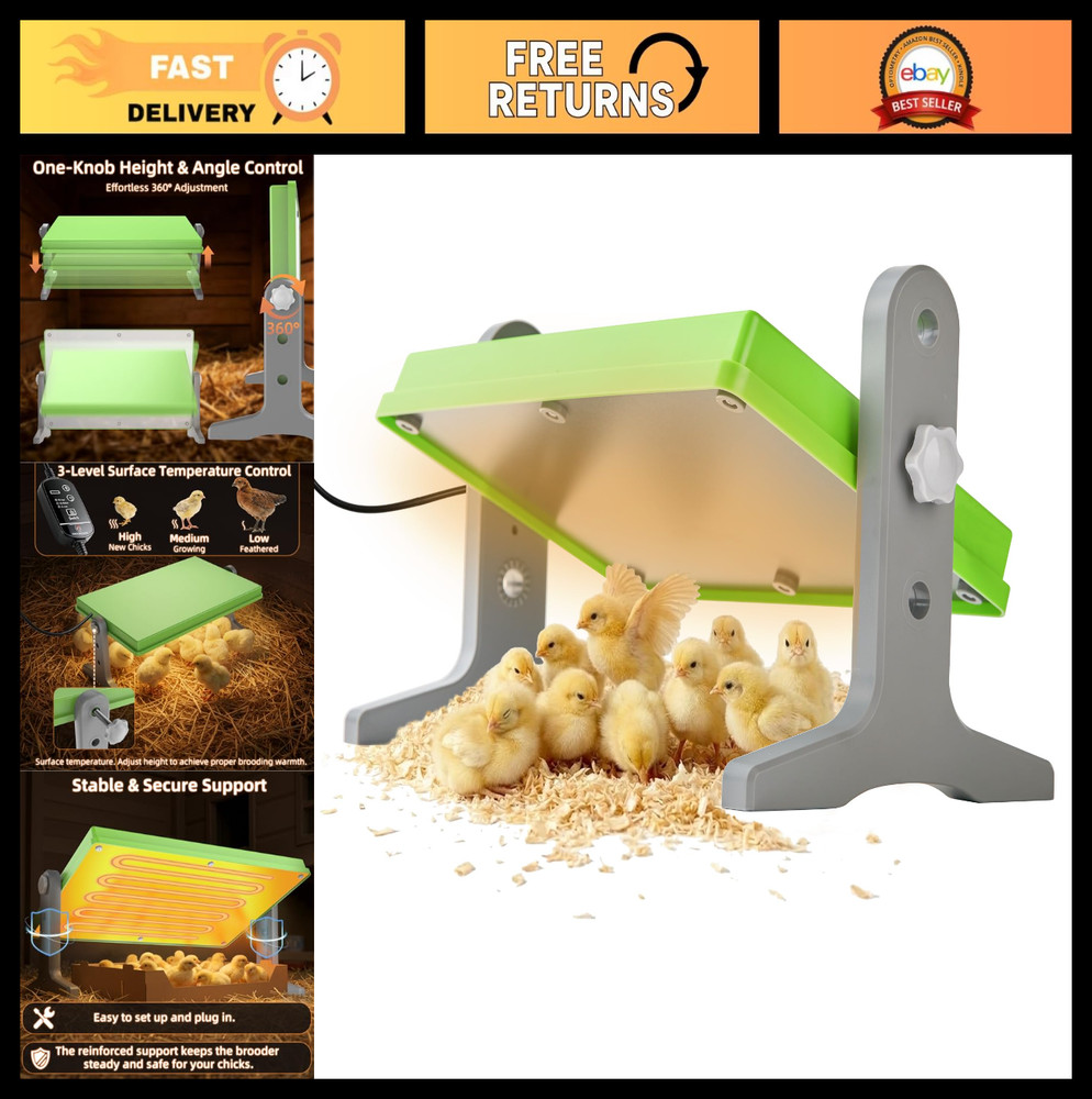 Adjustable Chick Brooder Heater 12x8 for Ducks, Birds & Chicks - Temperature Con