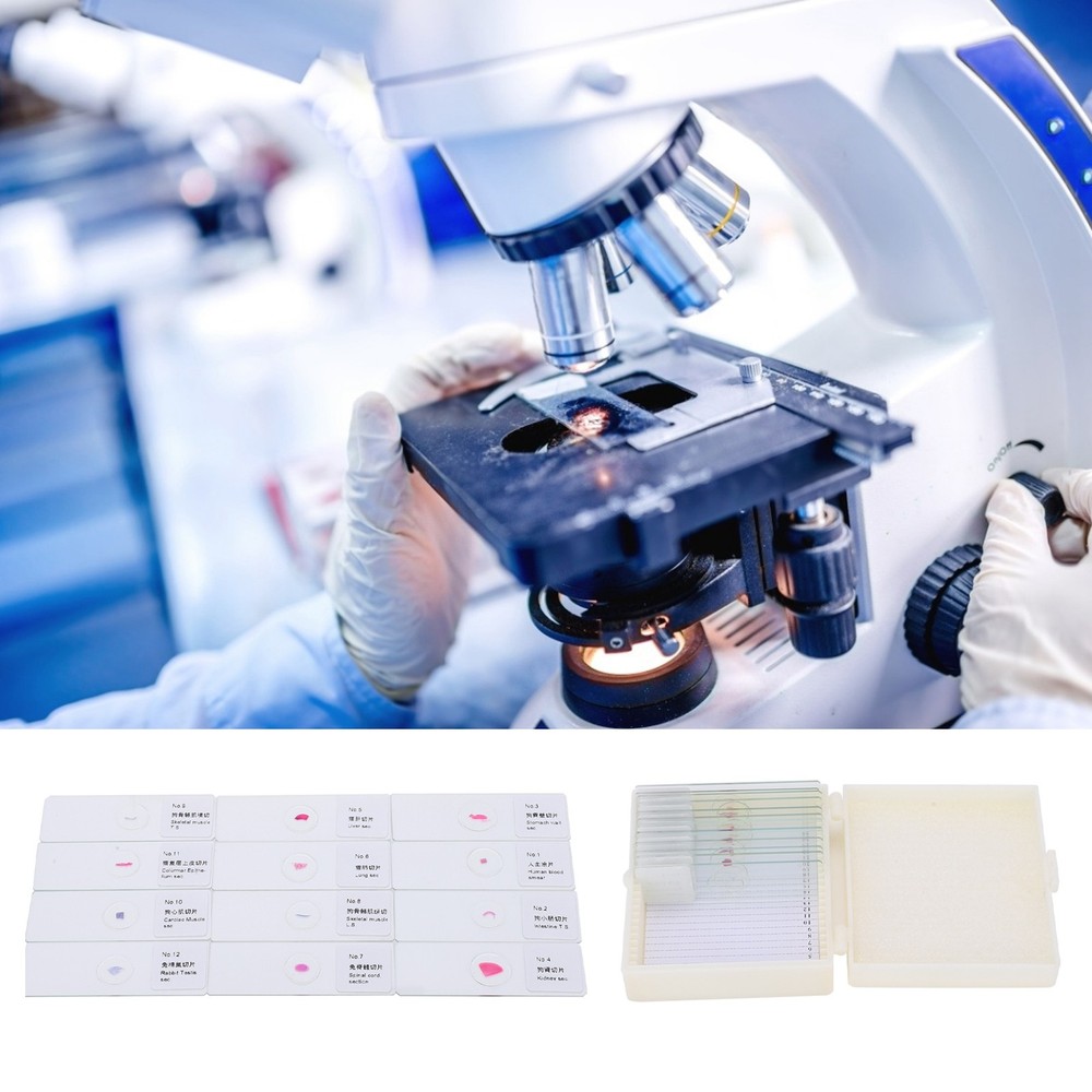 DW-25 25Pcs Animal Slide Set For Microscope Study Science Education