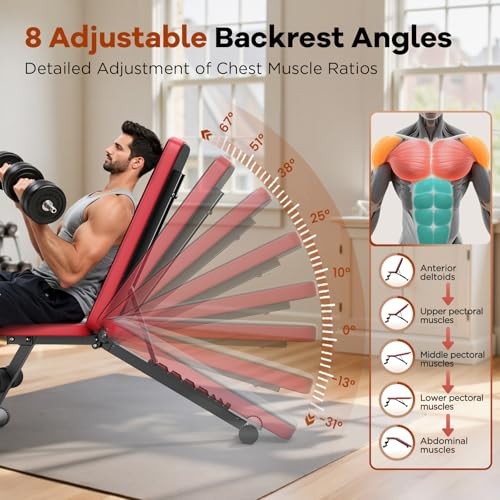 Basic Weight Bench for Home Gym, 8 Backrests Adjustable Bench with 660LBS