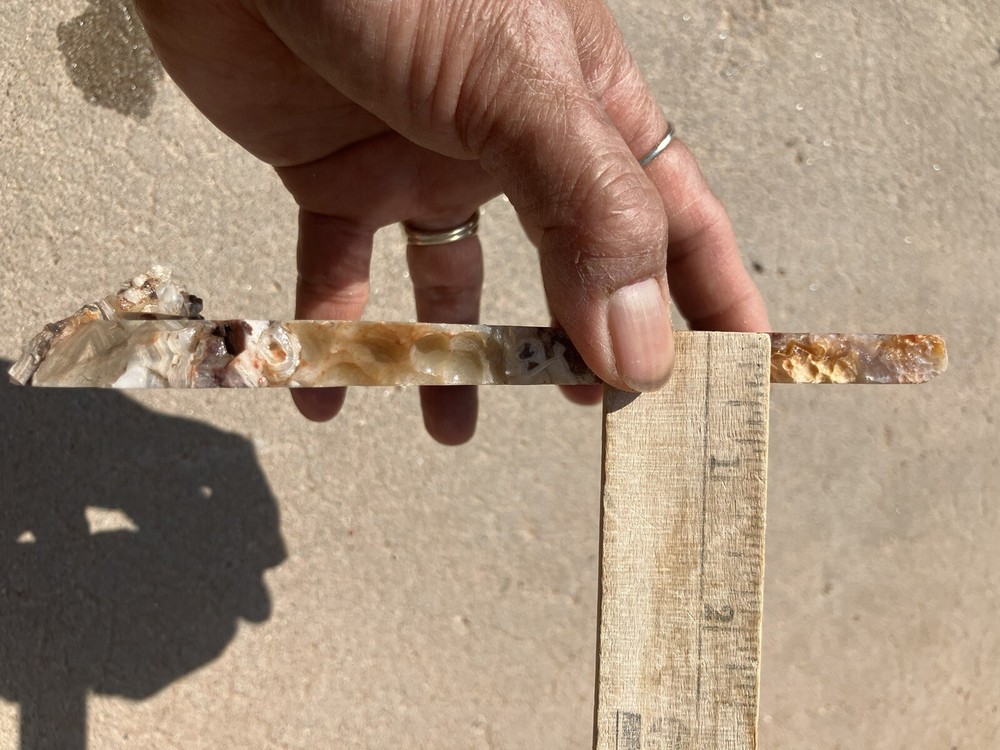 Crazy Lace Agate Slab