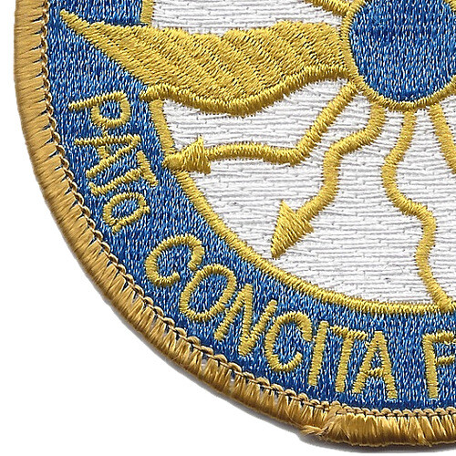 316th Cavalry Regiment Patch