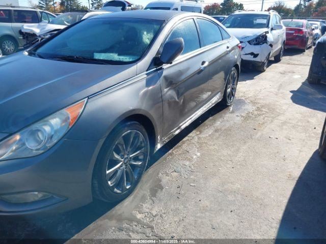 SONATA 2011 Glove Box 4965850