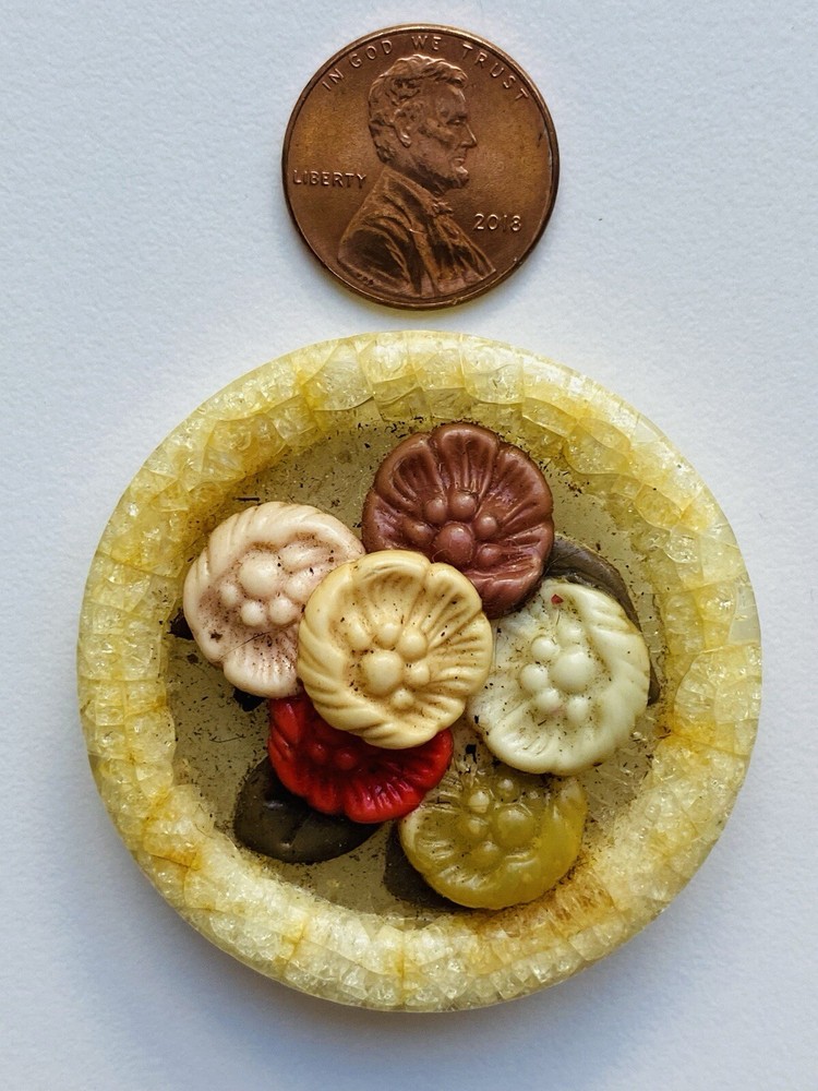 One Dozen Vintage Celluloid Buttons 2472)