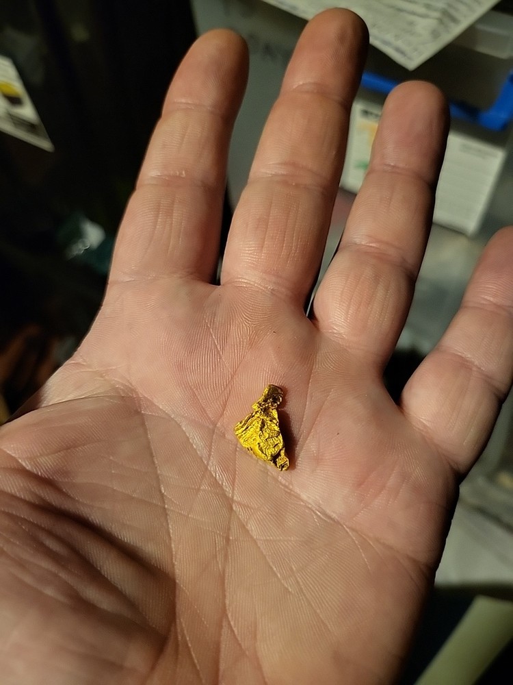 Gold Nugget