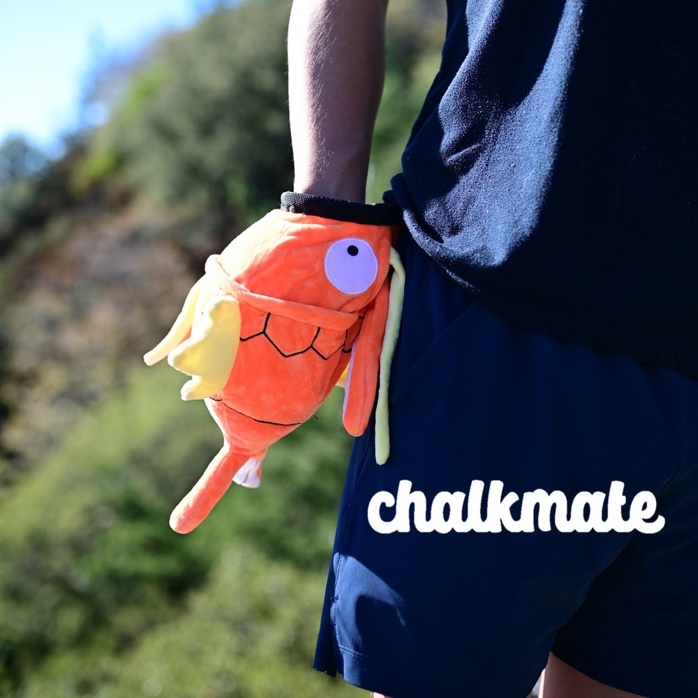 Magikarp Chalk Bag