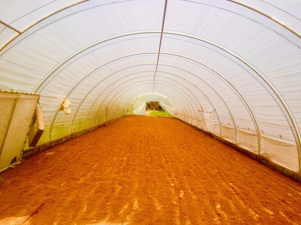 ORGANIC COMPOST HYDROPONIC GROWING MEDIA | COCO COIR COCO PEAT | 100% NATURAL