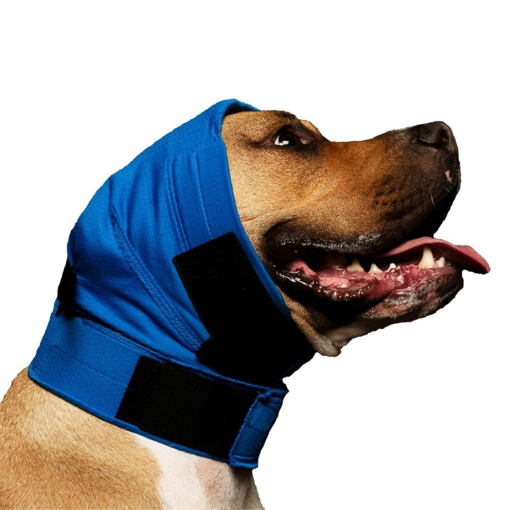 Ear Wrap (Blue Pinpoint Mesh, Medium)