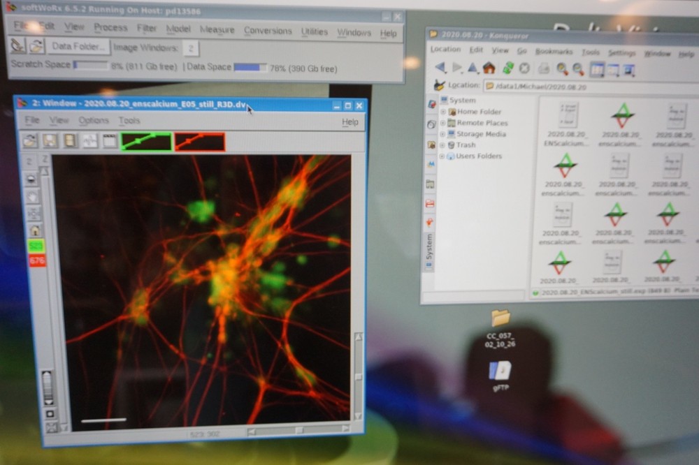 DeltaVision Elite Deconvolution Cell Imaging Microscope Olympus IX71