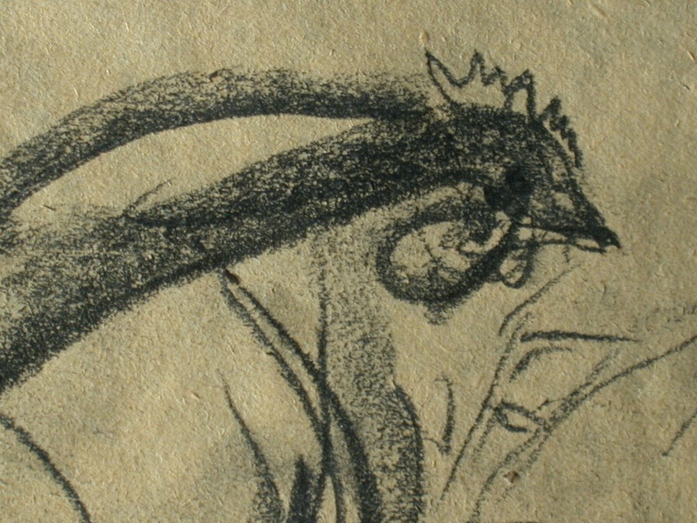 From Estate Leinfellner - 4 Chickens