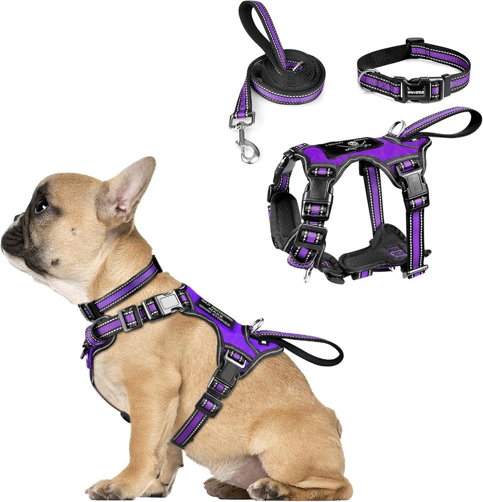 Pet Harness Collar & Leash Set All-in-one Reflective Dog Harness No Pull