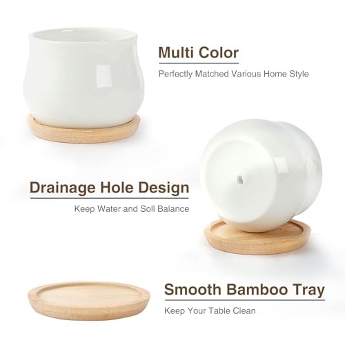 2 Pack Succulent Pots, 2.5 Inch Mini Ceramic Pots for 2 Pack White Mini Pots