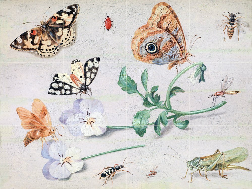 Insekten Tile Mural Kitchen Bathroom Wall Backsplash Art 24x18