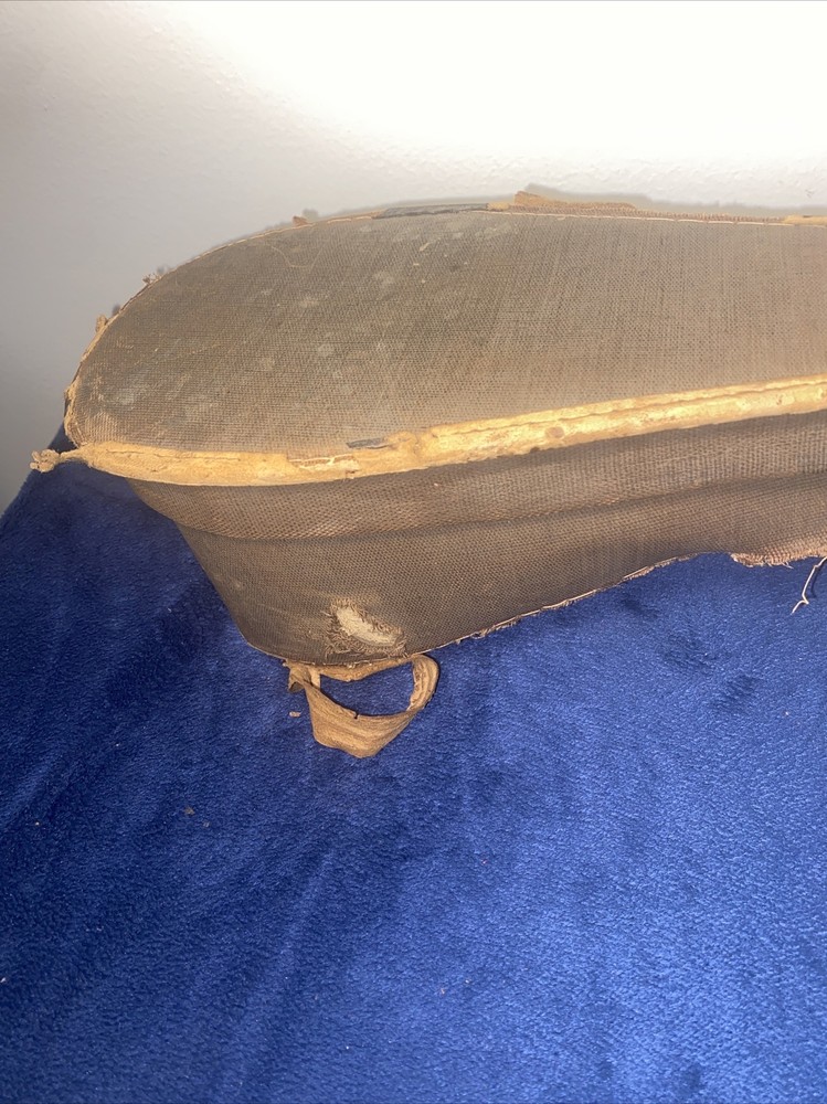 Antique Humpback Mandolin With Original Case