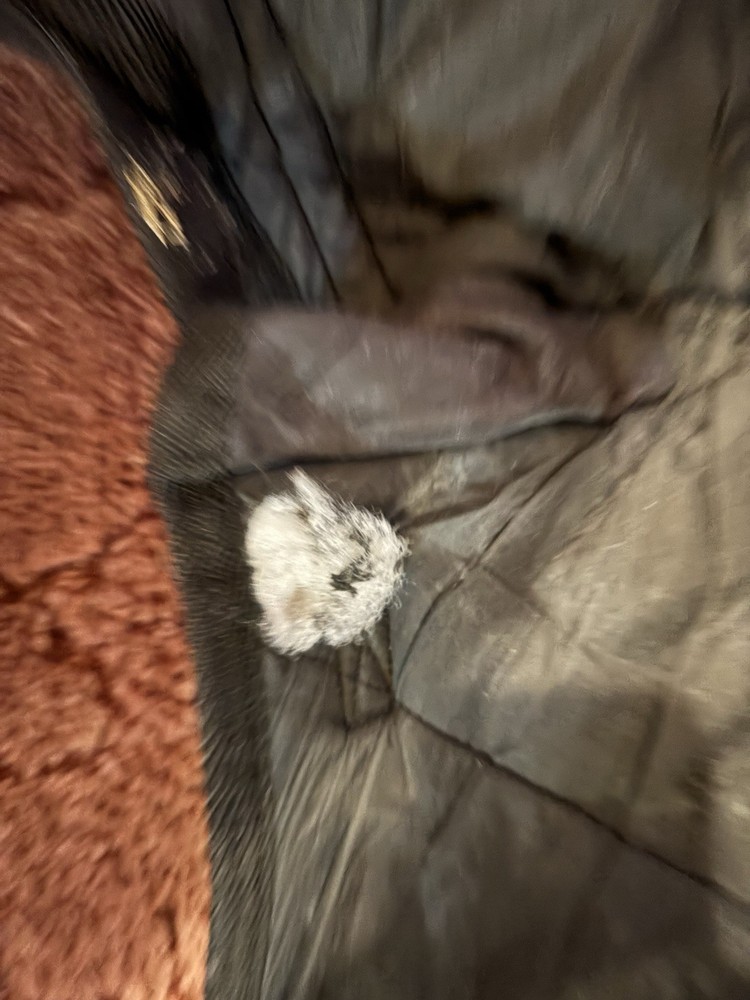 Hilason Winter Turnout Blanket!  Size 72