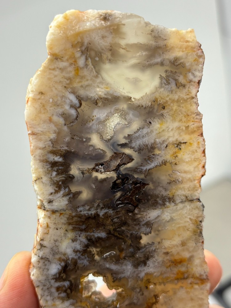 Plume Agate slab Cabbing Lapidary Combo Ship Avail Oregon