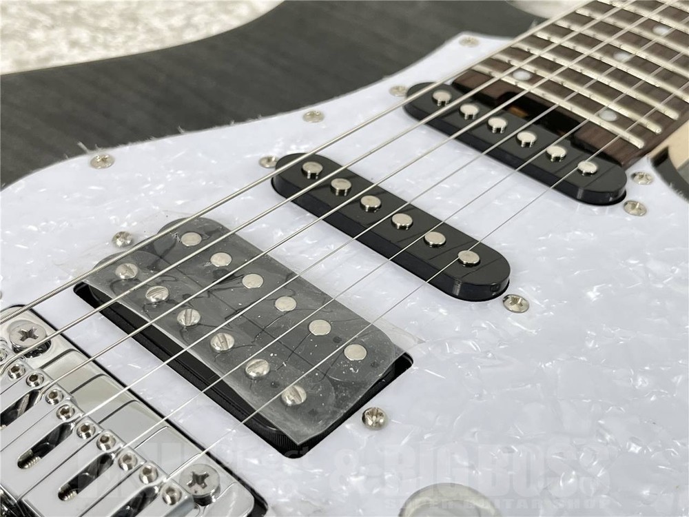 GrassRoots G-SNAPPER-CTM See Thru Black