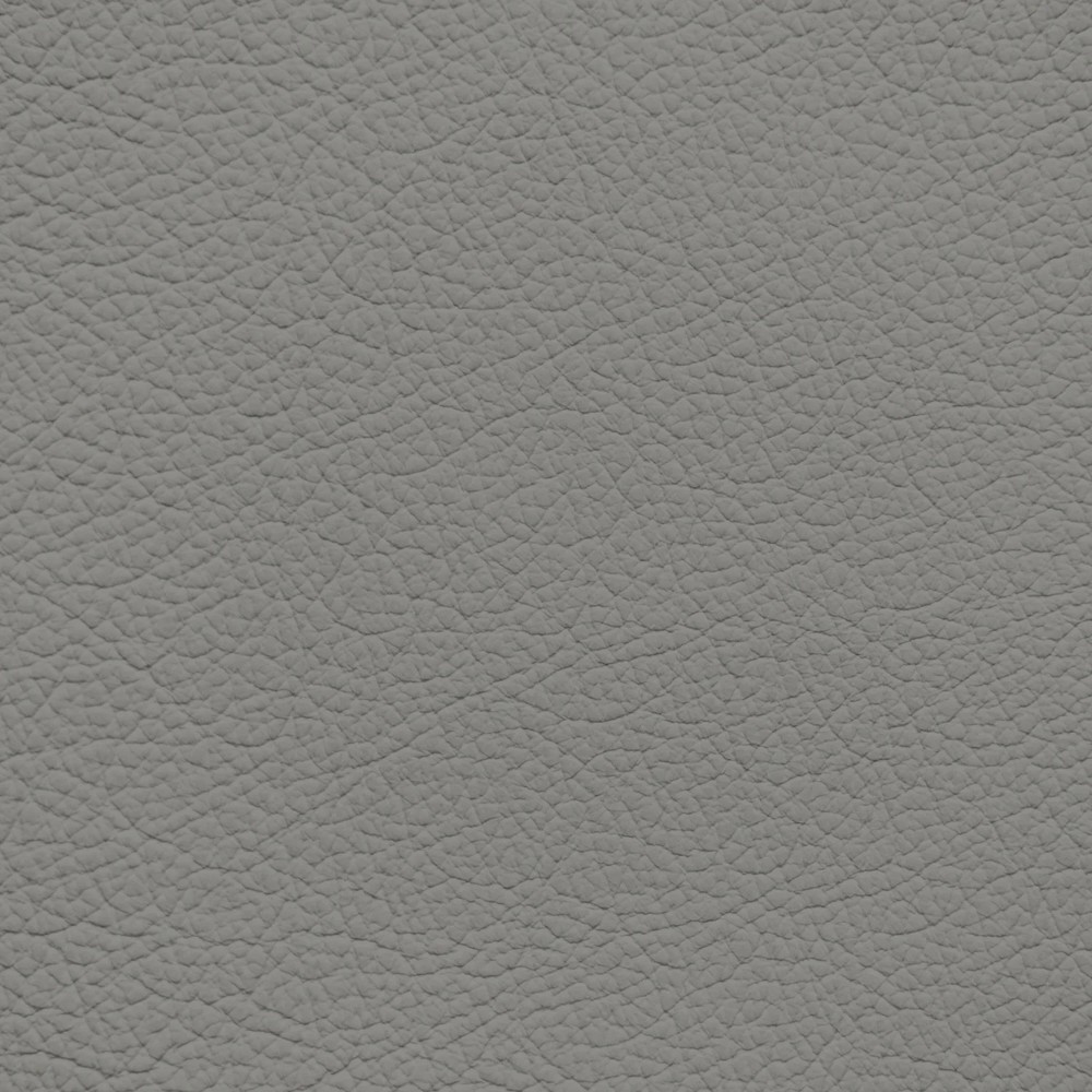 Ford/Lincoln/Mercury Medium Light Flint Leather Dye