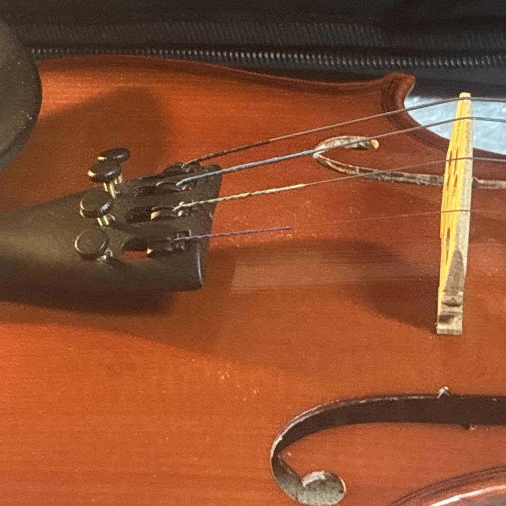 Violin
