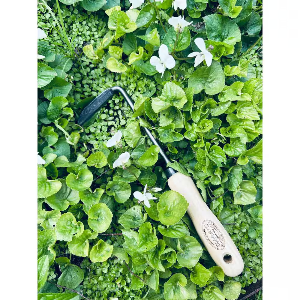 10.5 In. L Right Hand Cape Cod Weeder, Handle 5 In. L