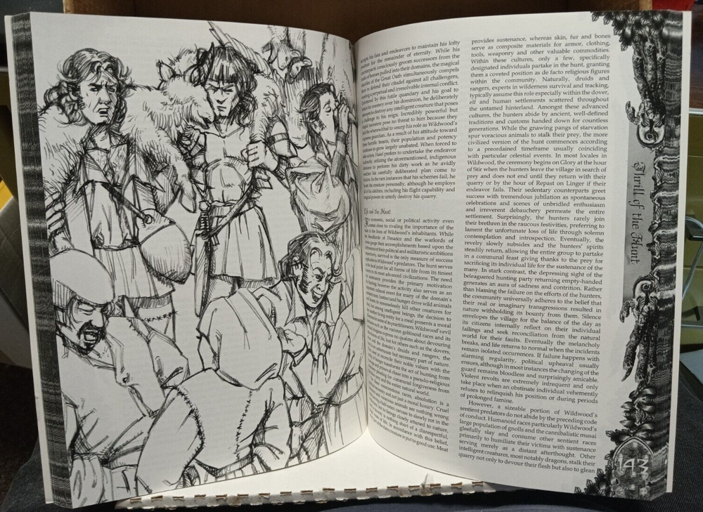 Wildwood d20 D&D rulebook