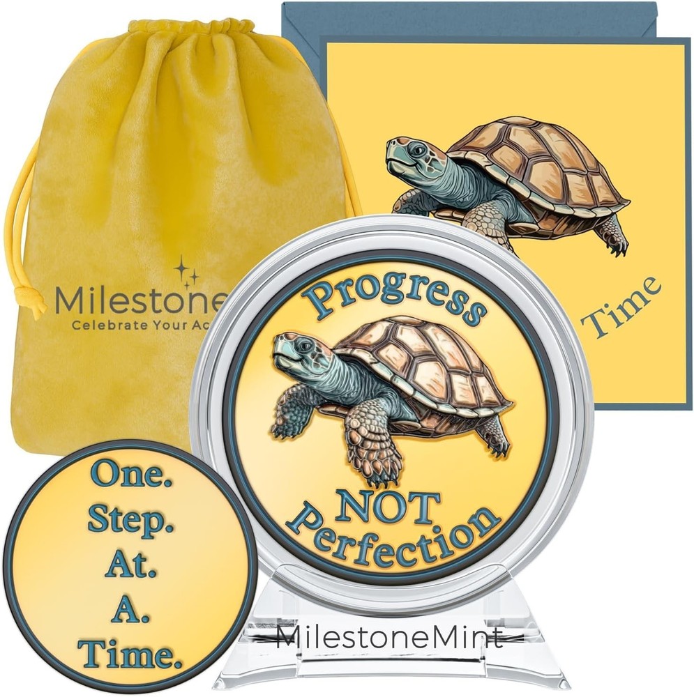 Affirmation Sobriety Coin Gift Set 3D Turtle Design Inspirational AA Chip
