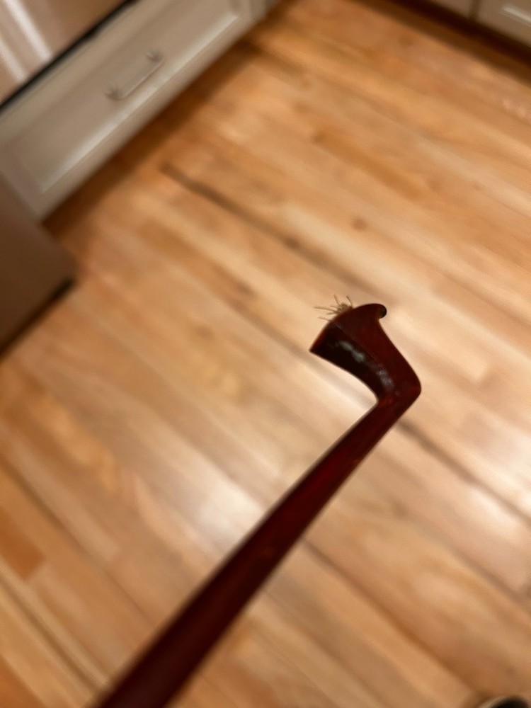 violin bow with mark
