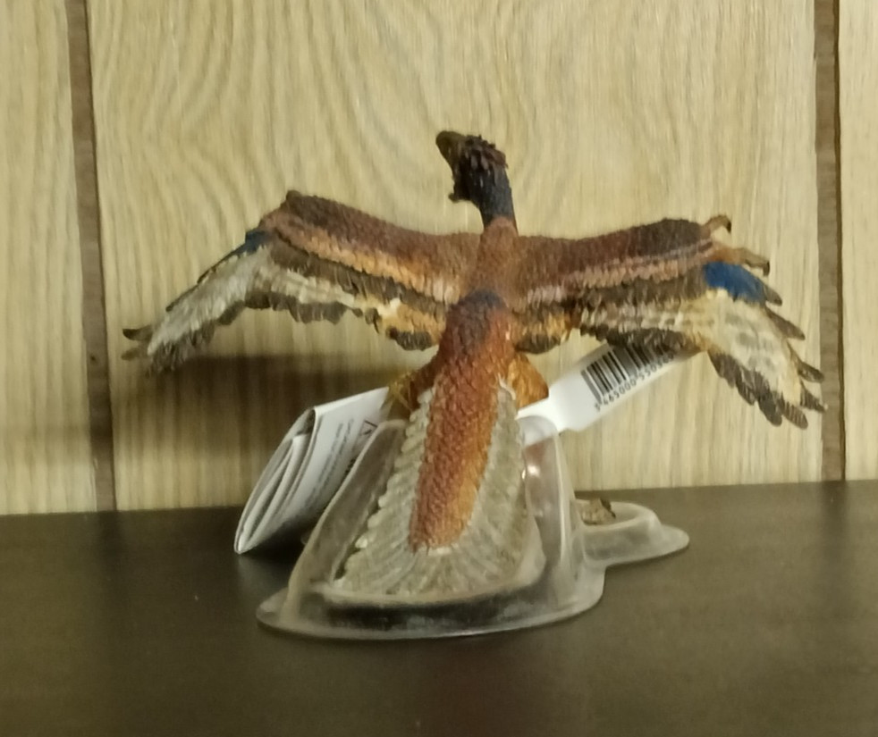 Papo: Archaeopteryx, Amargasaurus, Dilophosaurus