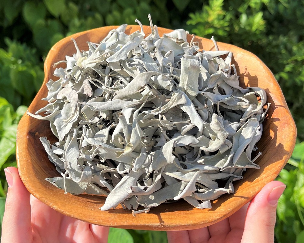 Mini Smudge Kit: White Sage Leaves, Abalone Shell, Smudging Feather & Stand