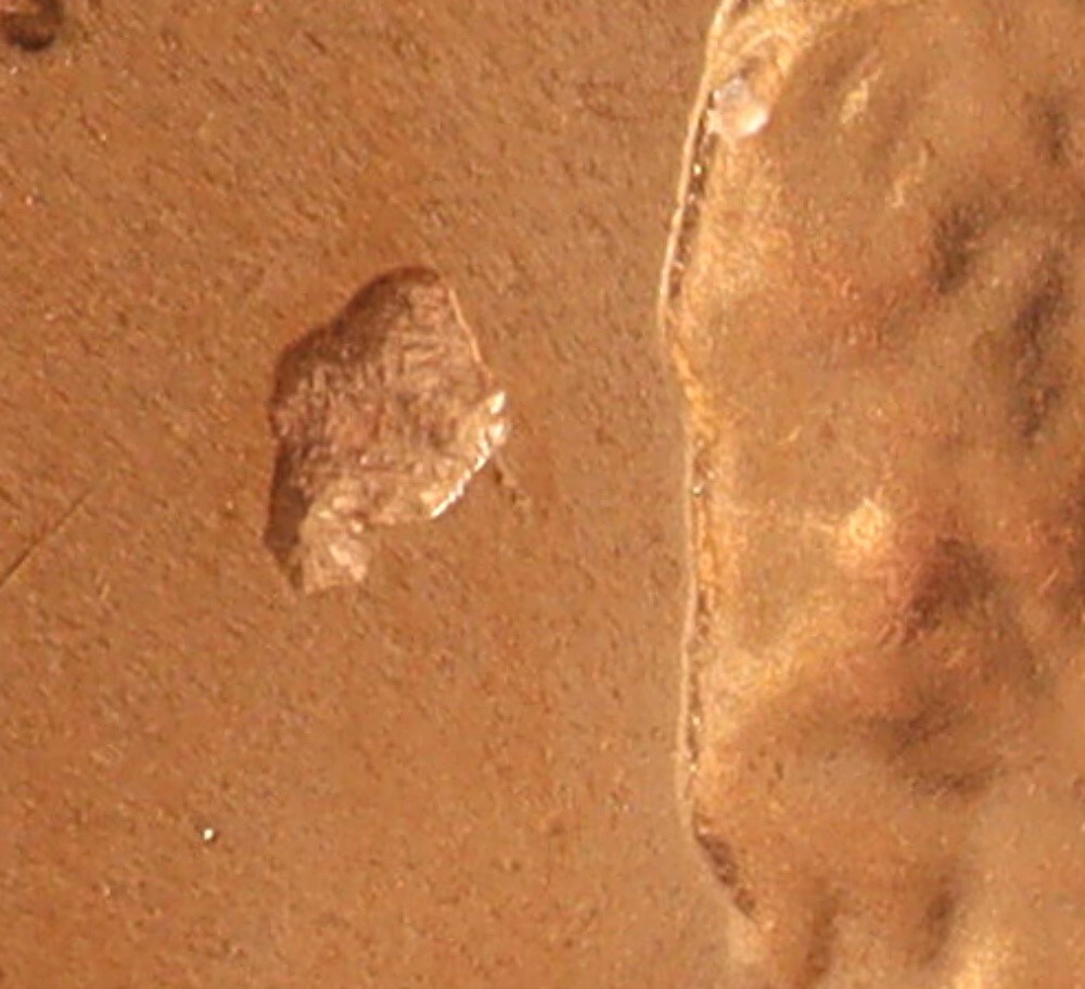 2022 D Shield cent error - Strikethrough