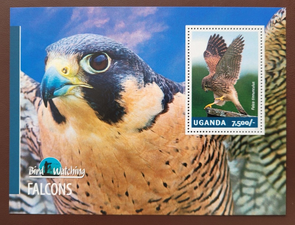 Uganda 2014 / Birds - Falcons  / 1v ms
