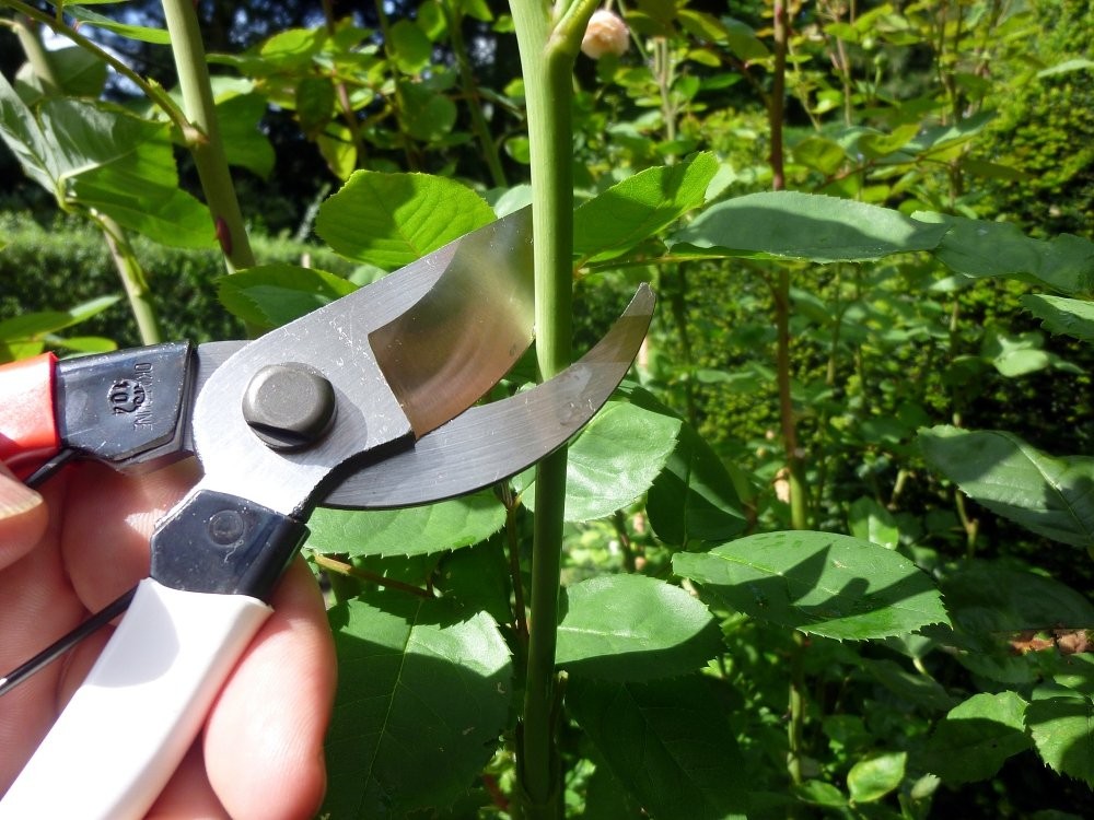 Okatsune 103 Bypass Pruners General Purpose Medium (One One Pack, シルバー|レッド