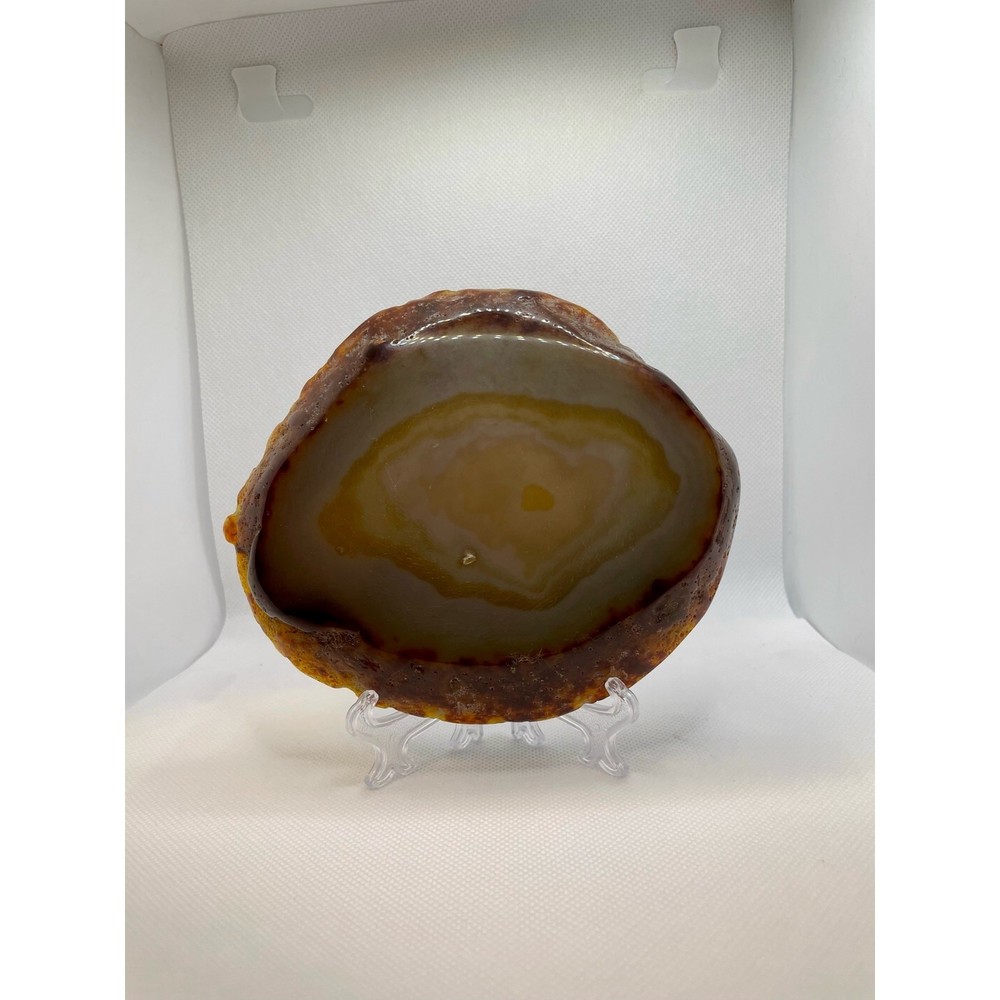 Carnelian Skull Slab