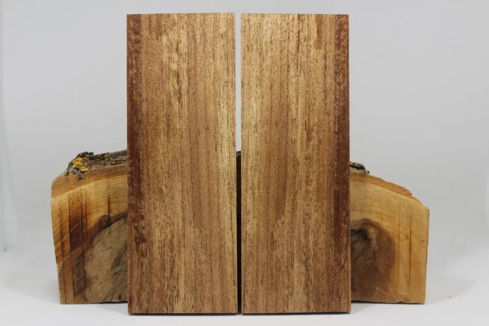 STABILIZED MAPLE CUSTOM KNIFE HANDLE MATERIAL BLANK SCALES (6359)