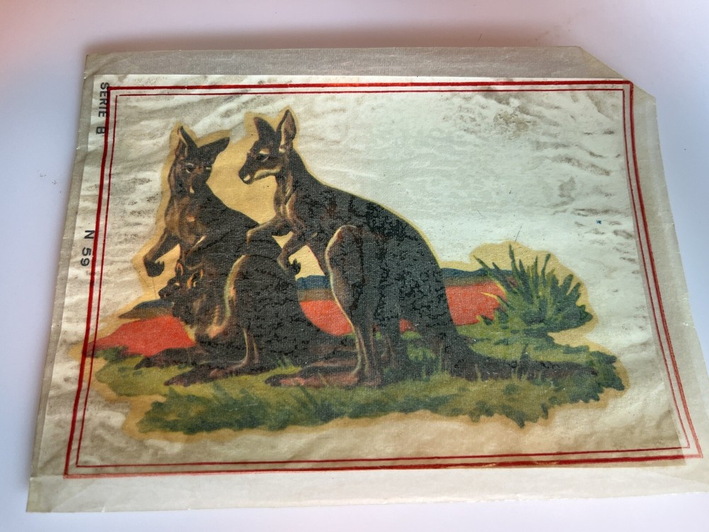 Vintage Water Slide Decals Kangaroos