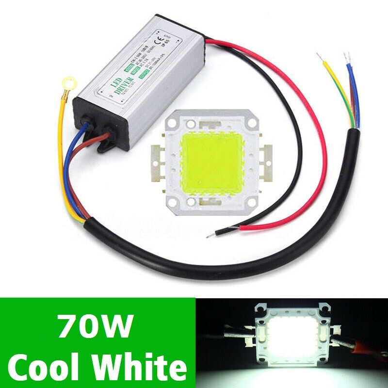 LED Driver + COB Chip 100W 50W 30W 20W 10W Power Supply Transformer Bulb Lights