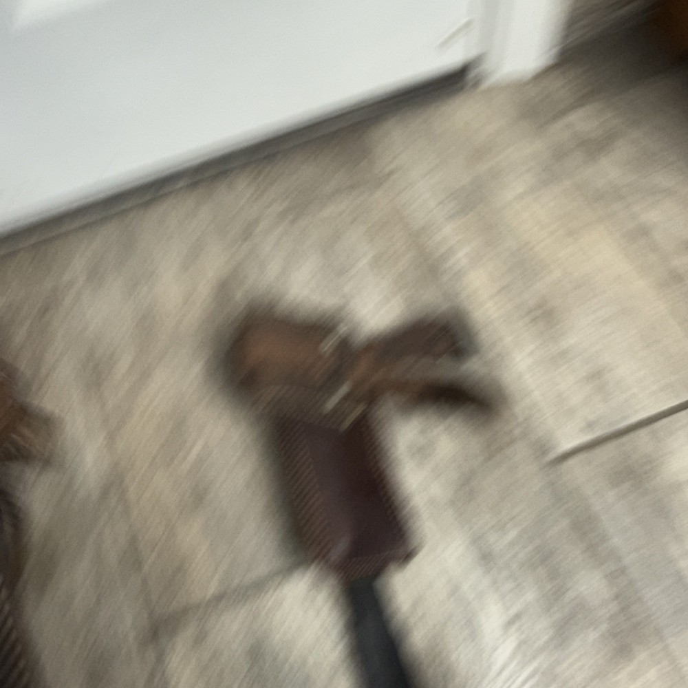 Buckingham Tree Climbing Spikes