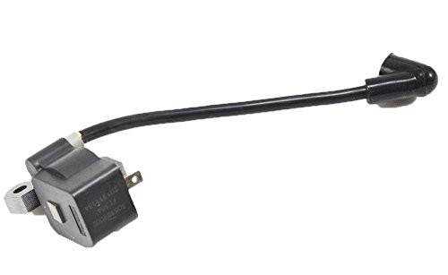 Ryobi BC30 Trimmer Ignition Module W/3 Second Kill Switch - 308389002
