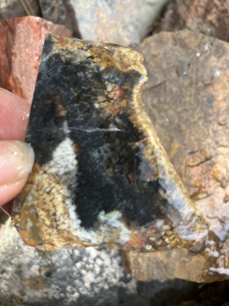 Priday Plume Agate Slab (Oregon)