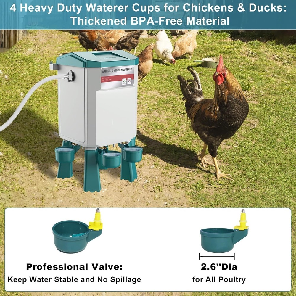 Automatic Chicken Waterer Large Chicken Waterer System Pou