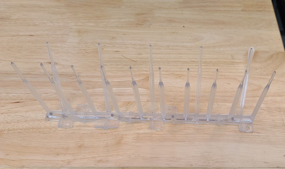 Bird Spikes