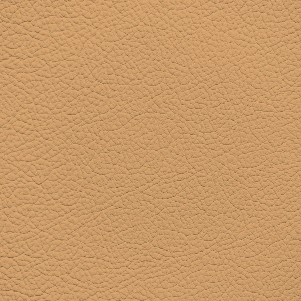 Ferrari Beige Leather Dye