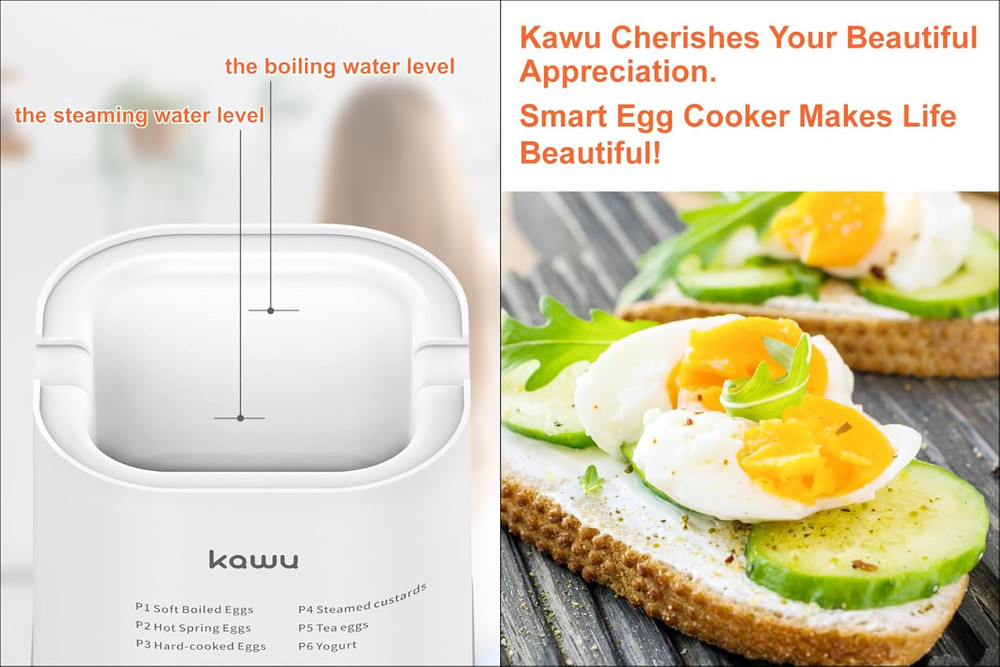 6-Function Egg Cooker Hard Boiled Eggs Boiler Timer Soft Electric Auto Shut Off