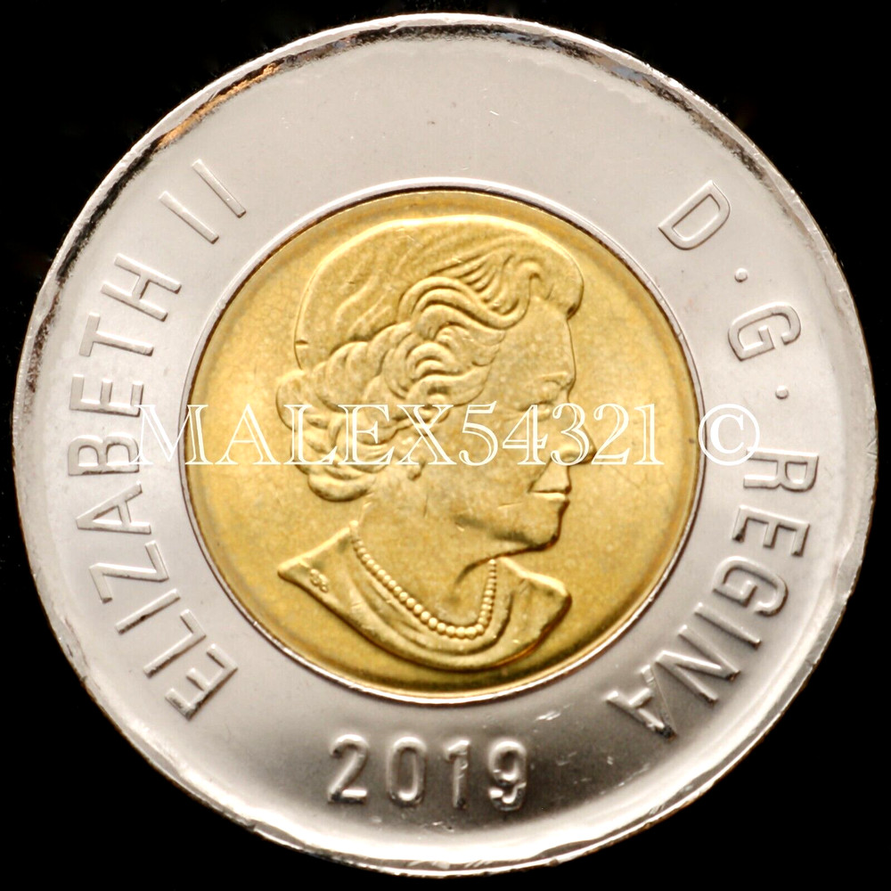 🇨🇦​ CANADA 2019 POLAR BEAR 2 DOLLARS UNCIRCULATED FROM MINT ROLL
